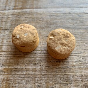 Macadamia Nut Cookie 20mm Plugs White Chip Cookie Gauges Cookie Plugs Cookie Gauges Macadamia Cookie Plugs Wood Plugs Wood Gauges