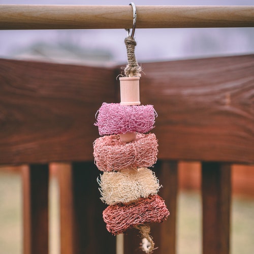 Fruity Loofah Kabob Fruit Flavored Chew Toy for Rabbits Etsy