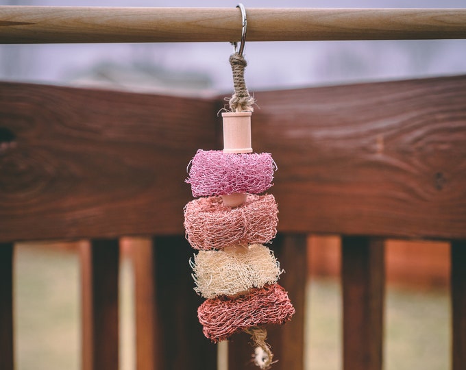 Fruity Loofah Kabob Fruit Flavored Chew Toy for Rabbits Etsy