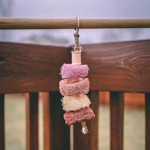 Fruity Loofah Kabob - Fruit Flavored Chew Toy for Rabbits, Guinea Pigs, Rats, Mice, Chinchillas, Hamsters, Gerbils, and Birds