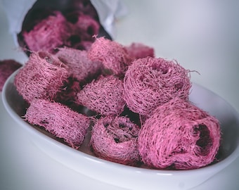 Fruit Flavored Loofah Chew Toys (10 ct) – Rabbit, Guinea Pig, Bird