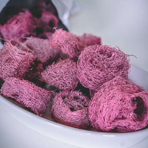 Fruity Loofah Kabob Fruit Flavored Chew Toy for Rabbits Etsy