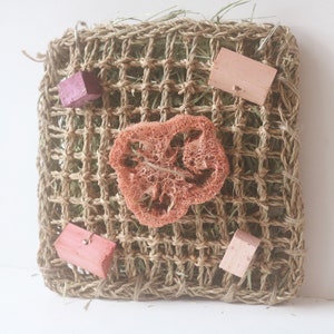 NEW Fruity Fun Hay Mat - Flavored Chew Toys for rabbits, bunnies, guinea pigs, hamsters, rats, mice, chinchillas