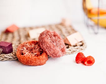Fruity Fun Mat - Flavored Chew Toys for rabbits, bunnies, guinea pigs, hamsters, rats, mice, chinchillas and birds