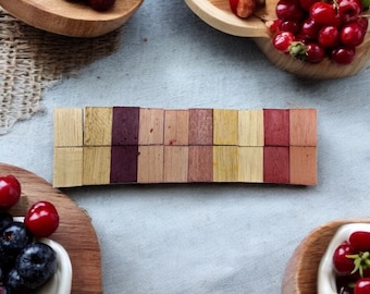 20 Fruit Flavored Balsa Wood Chew Blocks - Small Pet Toys