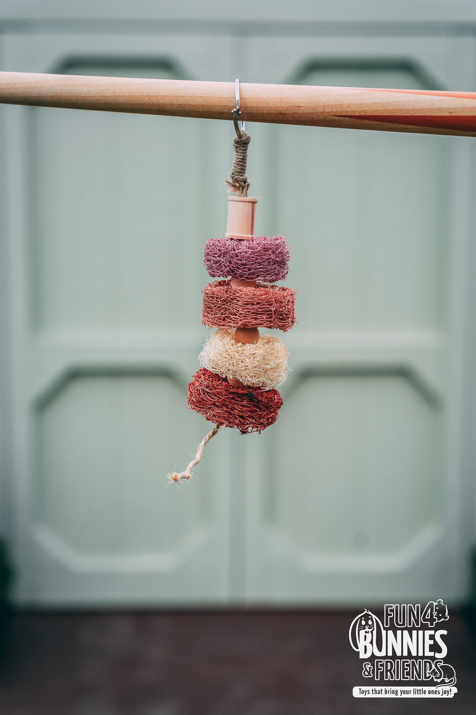 Fruity Loofah Kabob Fruit Flavored Chew Toy for Rabbits Etsy