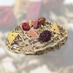 Fruity Pizza - Flavored Chew Toys for rabbits, bunnies, guinea pigs, hamsters, rats, mice, chinchillas and birds