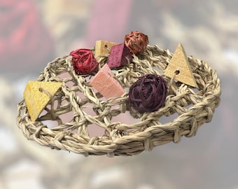 Fruity Pizza Chew Toy – Flavored Wood & Seagrass Mat for Small Pets