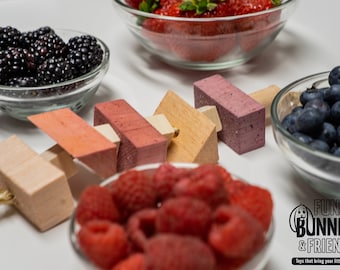 Verry Berry Kabob - Flavored Chew Toy for rabbits, bunnies, guinea pigs, hamsters, gerbils, mice, rats, chinchillas and birds