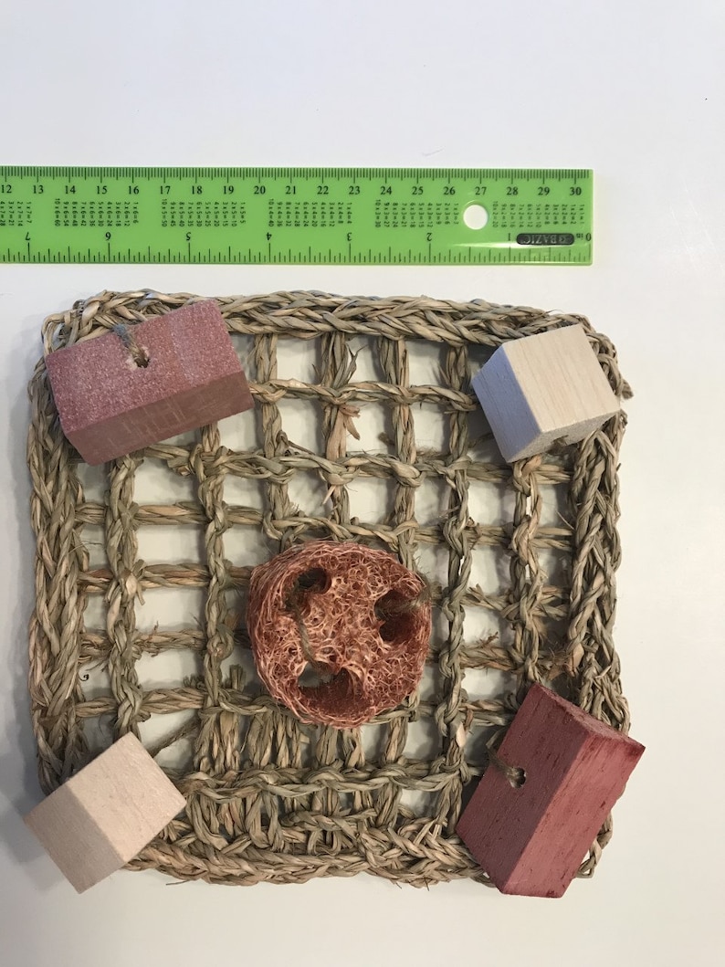 Fruity Fun Mat Flavored Chew Toys for Rabbits Bunnies Etsy