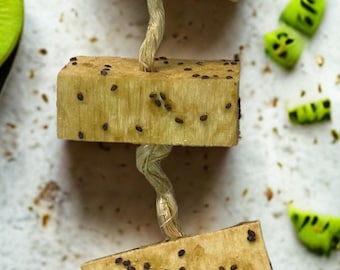 Kiwi Fling – Naturlig tuggleksak med fruktsmak för kaniner, marsvin och små husdjur