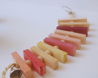 Ladder of Flavors (Medium) - Fruit Flavored Chew Toys for Rabbits, Guinea Pigs, Chinchillas, Gerbils, Hamsters, Rats, Mice, and Birds