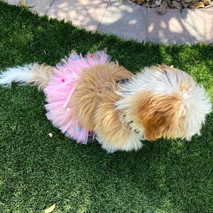 dog tutu, pink dog, pink dog skirt with pom poms, dog skirt, dog dress, dog birthday outfit, princess dog, photo props dog, photoshoot dog, tutu skirt, pink pom pom tutu, dog outfit, how to make a dog tutu