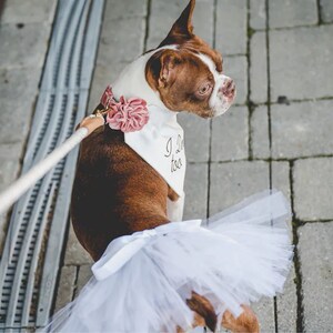 White Bridal Dog Tutu Size XS-XXXL | White Dog Dress Crafted to Stay Dry During Potty and Walk Times | Ring Bearer Outfit for Dogs