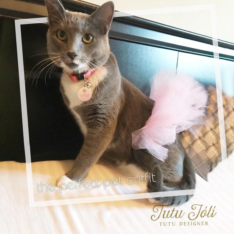 pink tutu for pets, pink cat tutu, dog tutu, pink dog, pink dog skirt, dog skirt, dog dress, dog birthday outfit, princess dog, photo props dog, photoshoot dog, tutu skirt, pink tutu, dog outfit, how to make a dog tutu