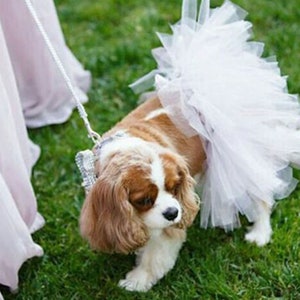 white dog tutu. white dog skirt. bridal dog tutu. bridal dog outfit. wedding dog. bridal dog dress. wedding dog outfit. ring bearer dog. princes dog white dress. white tutu. pearl beads tutu. dog tutu with beads. wedding dog skirt. tutu joli.