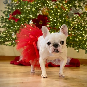 Red Dog Tutu | Size XS-XXXL | Birthday Dog Tutu | Red Dog Dress | Birthday Dog Skirt | Birthday Outfit For Dogs | Gift For Dog Girl