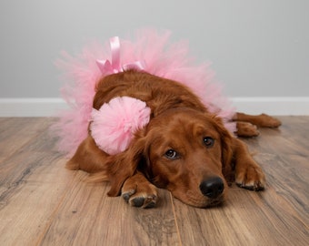 Light Pink Dog Tutu (XS-XL). Designed for outdoor walks and play time! Washable pet tutu! Great for doggy birthday parties!