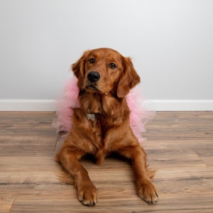 dog tutu, pink dog, pink dog skirt, dog skirt, dog dress, dog birthday outfit, princess dog, photo props dog, photoshoot dog, tutu skirt, pink pom pom tutu, dog outfit, large dog dress