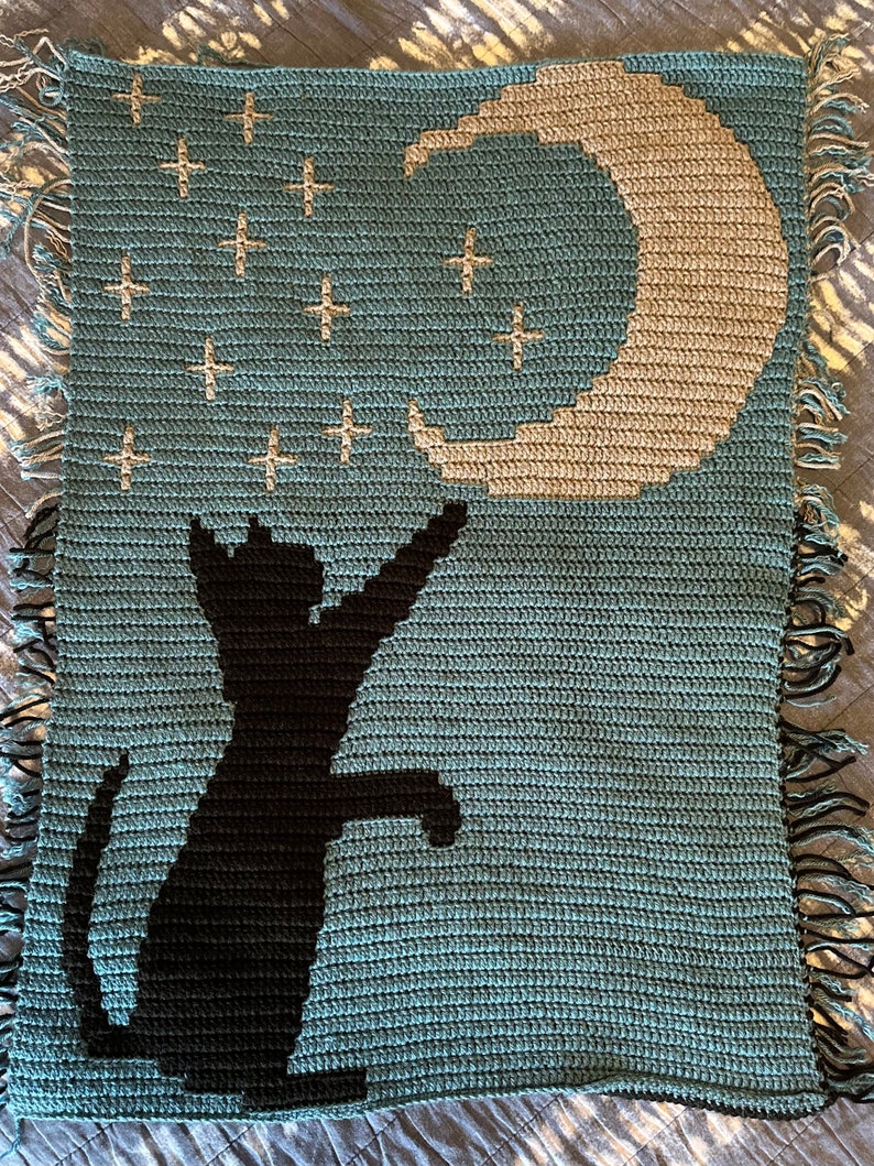 May include: A crocheted blanket featuring a black cat silhouette reaching up to a crescent moon with stars on a teal background.