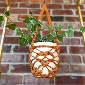 May include: A terracotta crocheted plant hanger with a white ceramic pot and a green plant inside. The hanger is hanging from a wooden shelf.