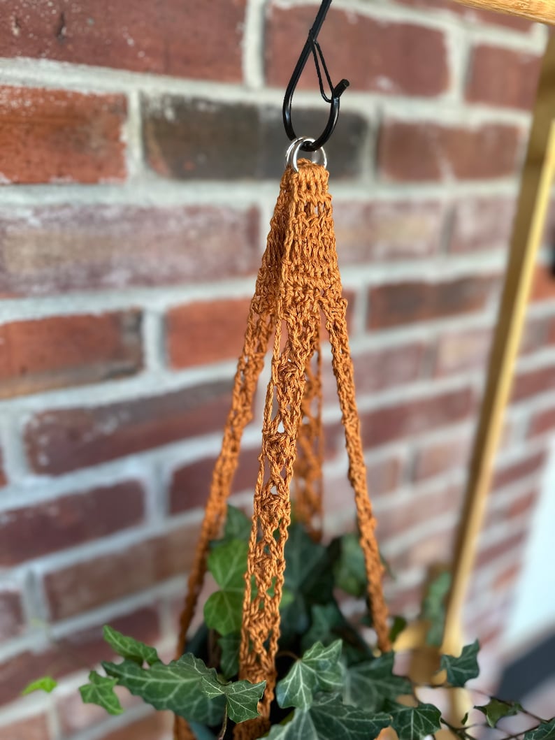 May include: A brown macrame plant hanger with a metal hook. The hanger is holding a potted plant with green leaves.