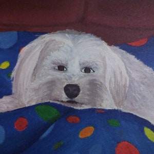 Custom pet digital painting