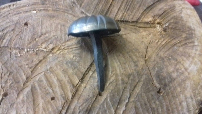 May include: A silver-colored nail with a decorative, fluted, mushroom-shaped head. The nail is hammered into a piece of wood.