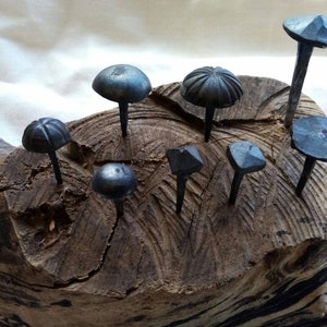 May include: A collection of eight hand-forged iron nails with different shaped heads, displayed on a piece of driftwood.