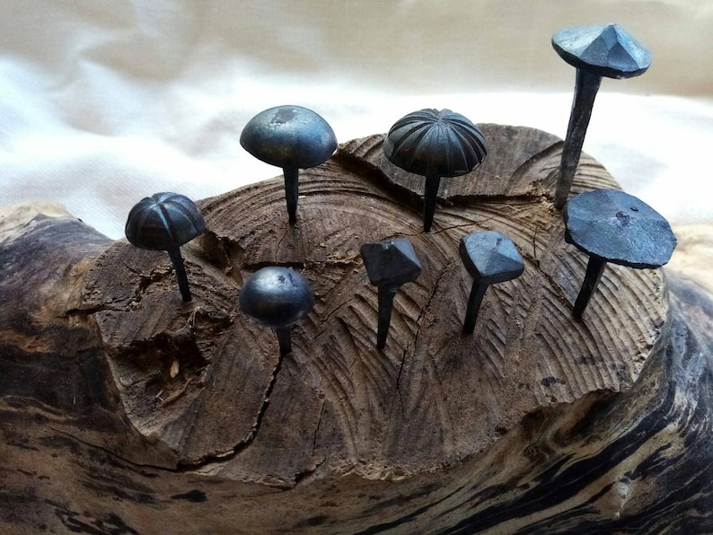 May include: A collection of eight hand-forged iron nails with different shaped heads, displayed on a piece of driftwood.