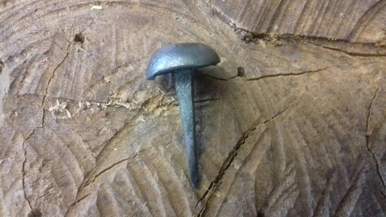 May include: A single, hand-forged nail with a rounded, domed head. The nail is made of metal and has a dark gray finish.