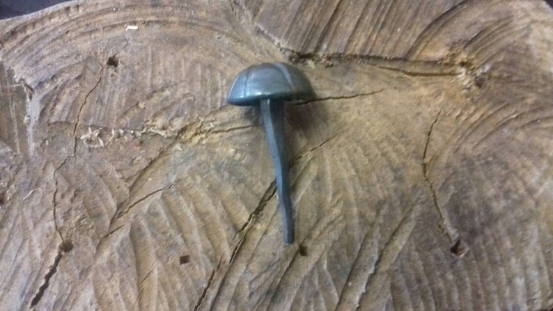 May include: A single, dark gray, metal nail with a rounded, domed head. The nail is sitting on a piece of rough, brown wood.