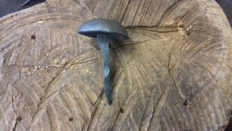 May include: A close-up of a large, black, metal nail with a rounded head. The nail is sitting on a piece of wood.