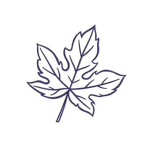 Könnte beinhalten: Eine einzelne, detaillierte Linienzeichnung eines violetten Ahornblattes.