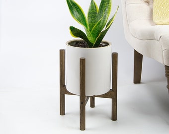 Live Plant Snake Plant with Pot and Stand 8" Ceramic Planter with Wood Stand