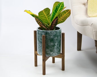 Live Plant Codiaeum Include Pot and Stand 8" Ceramic Planter with Wood Stand