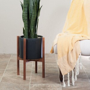 May include: A potted snake plant with long, green leaves sits on a wooden plant stand. A yellow throw blanket with a diamond pattern is draped over a chair in the background.