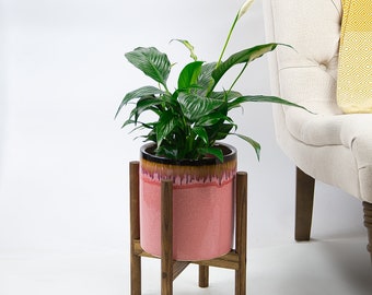 Indoor Plant Peace Lily in Ceramic Planter with Wood Stand  Potted House Plant Live Plant