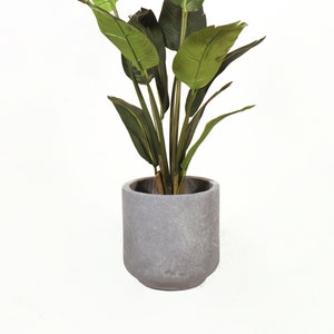 May include: A potted artificial bird of paradise plant with green leaves in a gray concrete pot.