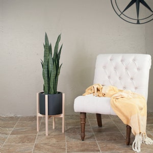 May include: A potted snake plant with long, green leaves sits on a wooden plant stand. A white armchair with a yellow throw blanket is in the background.