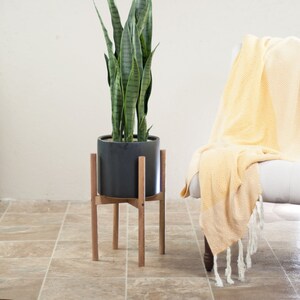 May include: A potted snake plant with long, green leaves sits on a wooden plant stand. The plant is in a black pot and the stand is made of natural wood.