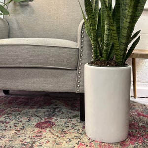 May include: A large green snake plant in a white ceramic pot. The plant is sitting on a rug in front of a gray armchair.