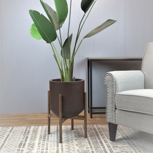 May include: A large green plant with long leaves in a brown ceramic pot on a wooden stand. The plant is in a living room setting with a gray armchair and a black side table.