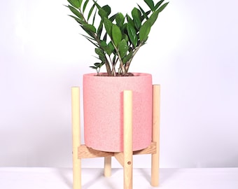 Live ZZ Plant Indoor Plants with Pot and Stand 8" Ceramic Planter with Wood Stands