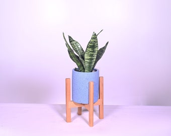 Live Plant Snake Plant with Pot and Stand 5" Ceramic Planter with Wood Stand Natural Color