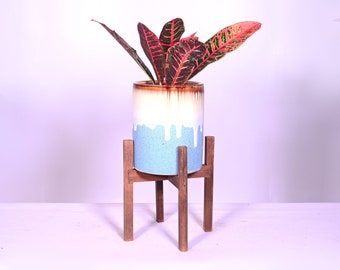 Live Plant Codiaeum Include Pot 6" with Stands Walnut Ceramic Cylinder Planter and Stand Mid Century Modern Planter Pot