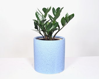 Live Plant ZZ Plant with Pot 8'' Indoor Potted Plant Cylinder Ceramic Planter Pot