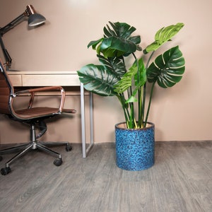 May include: A large green leafy plant in a blue and brown ceramic pot sits on a wood floor next to a brown office chair and a desk with a lamp.