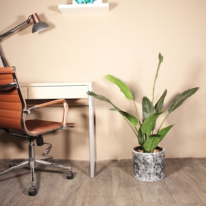 May include: A brown leather office chair with chrome arms and base sits in front of a white desk with a potted green plant to the right. The plant is in a white and gray speckled pot. A desk lamp with a copper base and a white shade is on the wall behind the chair.