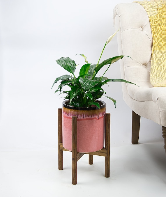 Indoor Plant Peace Lily in Ceramic Planter With Wood Stand Potted House  Plant Live Plant - Etsy